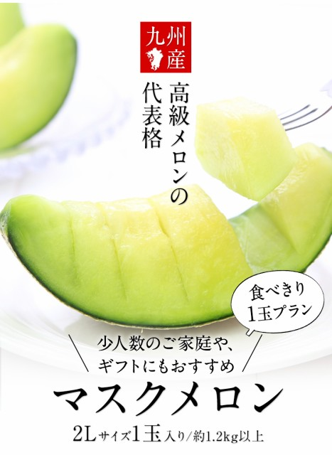 メロン クラウンメロン 山等級 1.2kg×1玉 静岡県産 めろん