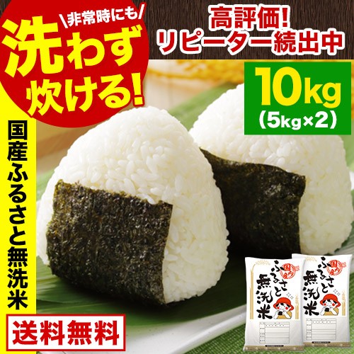 森のくまさん 米 お米 5kg 無洗米 熊本県産 令和6年産 精米5kg