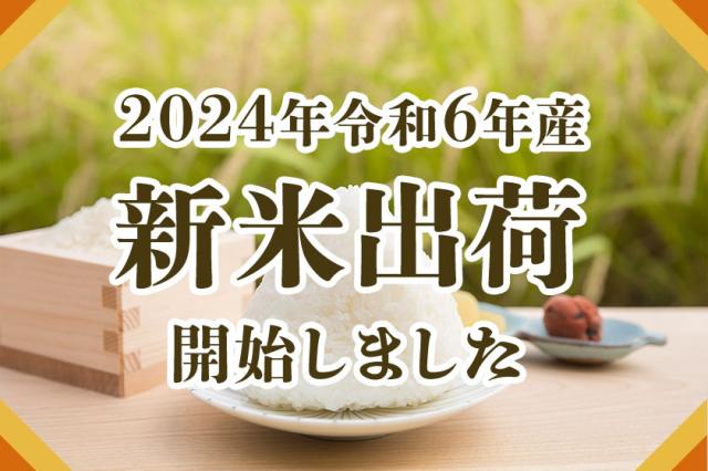 きゃん 様専用 2024年 新米 富山県産コシヒカリ きゃん 様専用 2024年 新米 富山県産コシヒカリ