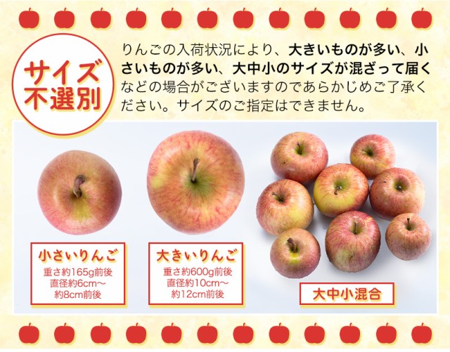 国産 リンゴ りんご 2kg 青森 長野 秋田 いずれかの産地 訳あり