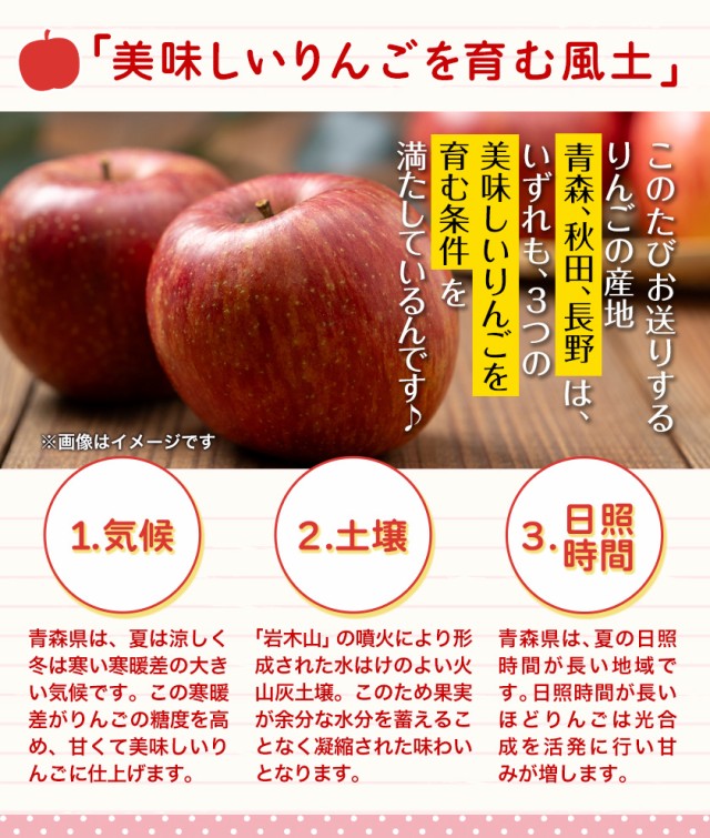 国産 リンゴ りんご 2kg 青森 長野 秋田 いずれかの産地 訳あり
