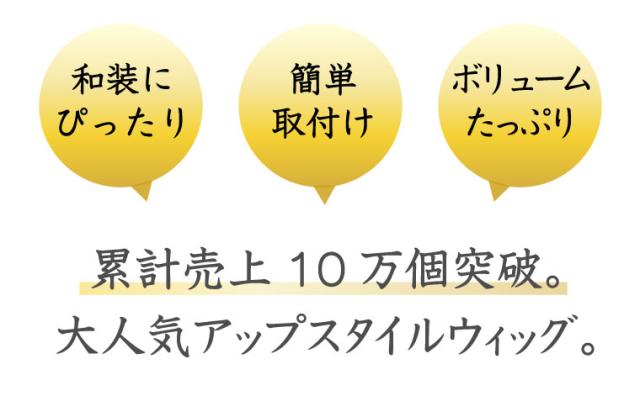 姫盛りウィッグ