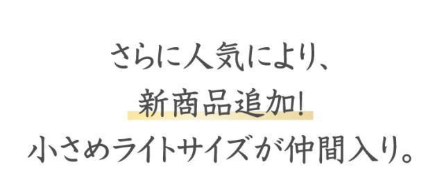 姫盛りウィッグ