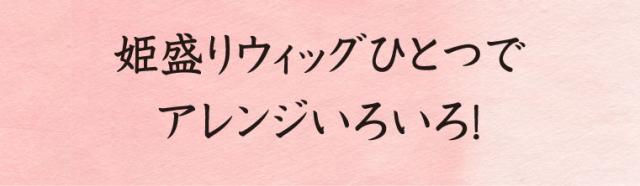 低めの位置でお団子を作ればポニーテルウィッグとして使えます！