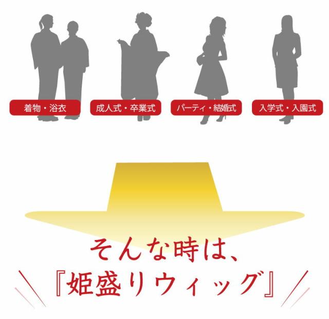 姫盛りウィッグ