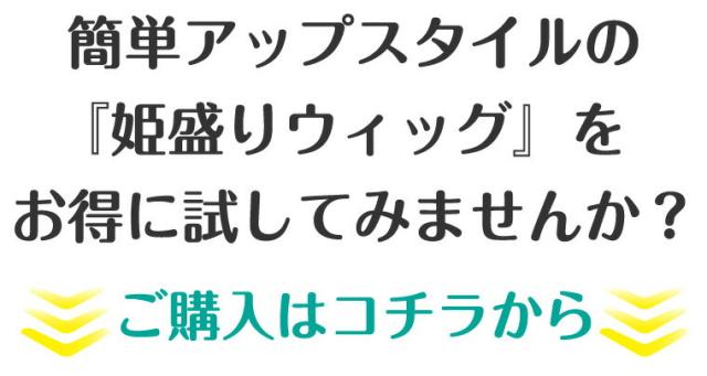 姫盛りウィッグ