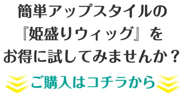 姫盛りウィッグ