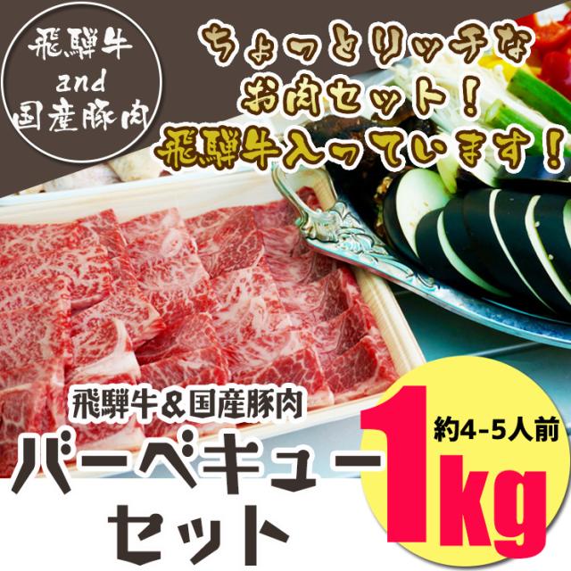在庫有 肉のひぐち バーベキューにおうち焼き肉にピッタリ 送料無料 飛騨牛 国産豚肉入りバーベキューセット1ｋｇ入り 飛騨牛400g 国産豚 受賞店舗 Carlavista Com