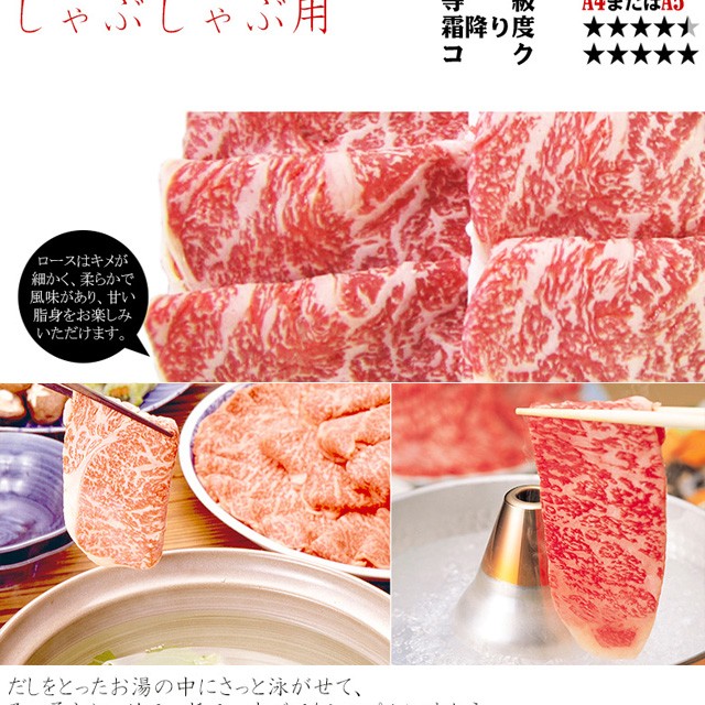 肉 ギフト 和牛 牛肉 飛騨牛 ロース肉 しゃぶしゃぶ用 700g 4〜5人前