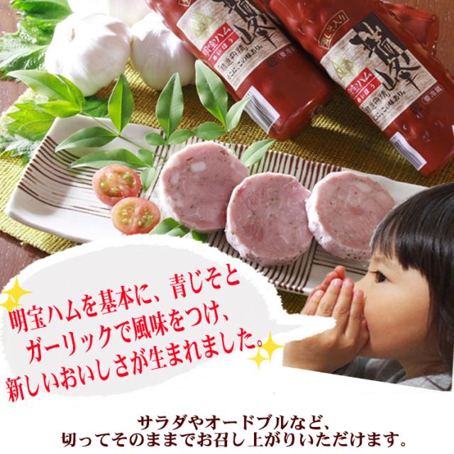 幻のハム名宝ハム1