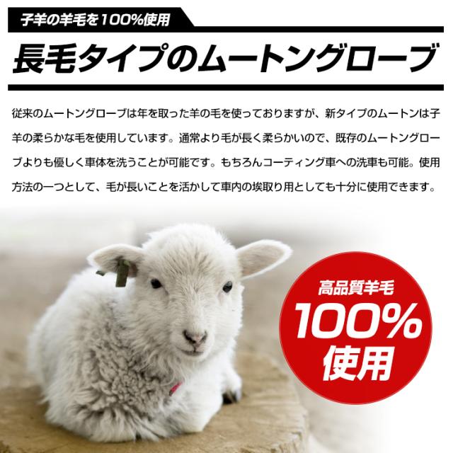 ムートングローブ