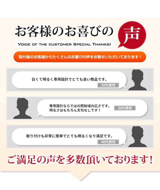 ライズ専用 ライセンスランプ