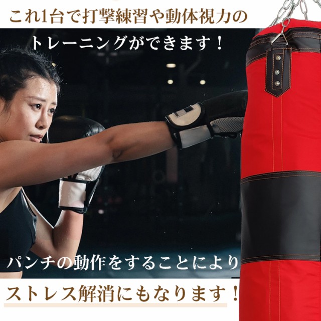 Amazon | Kaitou 自宅 ボクササイズ トレーニング 有酸素運動