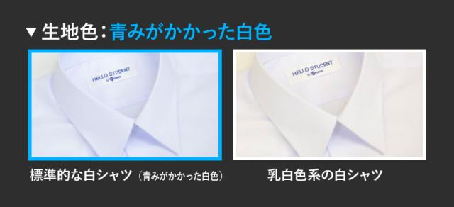 生地色：青みがかかった白色