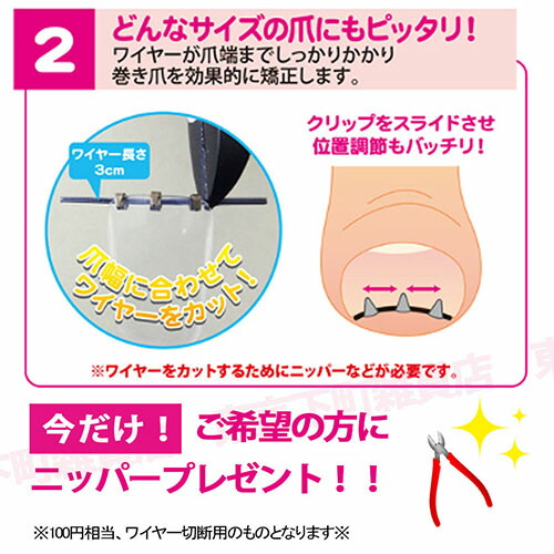 ポイント消化！／ 【正規品】[1個単品] まきづめリフト 4爪