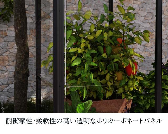 ミニ温室 アイビー グリーンハウス キット 4×2サイズ