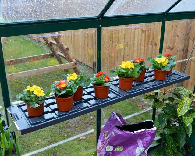 温室 グリーンハウス・シェルフ キット(2枚組)