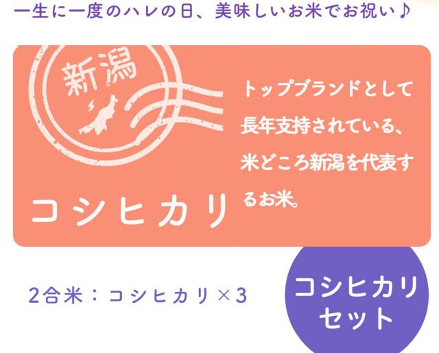 画像が見つかりません