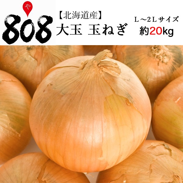 玉ねぎ Lサイズ 約20kg(北海道沖縄別途送料加算)