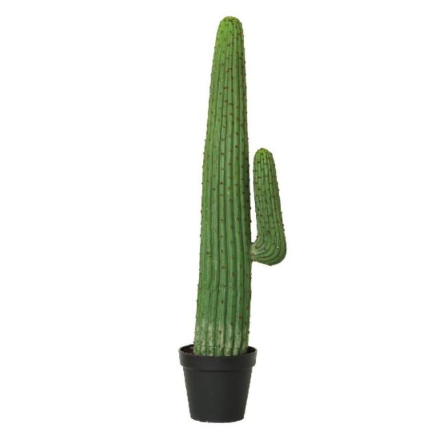 買付期間 Spice スパイス Spice Of Life フェイクグリーン ハシラサボテン Dagk80 ガーデン 植物 フェイクグリーン フェイク リアル インテリの通販はau Pay マーケット Desir De Vivre 商品ロットナンバー スストア Lazuriapparel Com