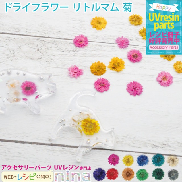 ドライフラワー リトルマム 菊 レジン ネイル 10個入り リトルマム ネイル グレー 花 ドライフラワー 手作り ハンドメイド 灰色 Uvレジンの通販はau Pay マーケット ａｎｇｉｅ ｓｅｌｅｃｔ ｓｔｙｌｅ