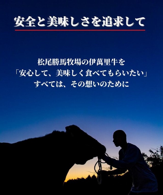 新作お買い得 サーロイン ステーキ 伊万里牛 和牛 200g×3枚 600g 生産者直送 送料無料 ギフト 贈答品 お歳暮 のし対応 勝馬 松尾牧場 九州 佐賀の通販はau PAY マーケット - 流行はいつもここから TREND-I|商品 大得価即納