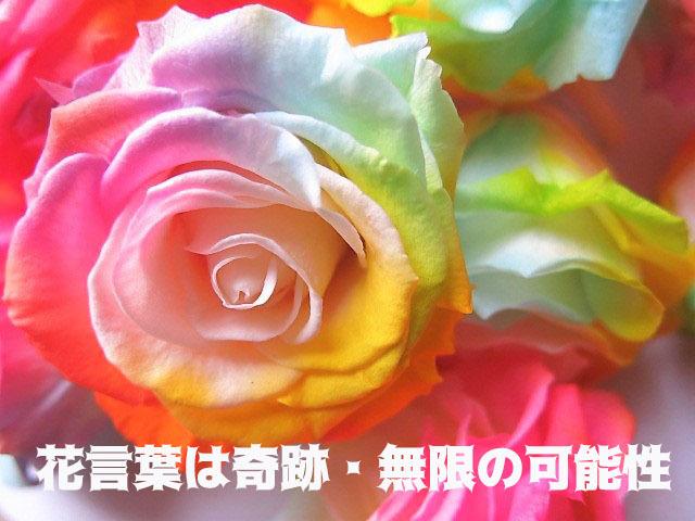 ディズニー 花 フラワーギフト