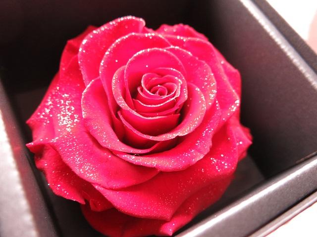 ダイヤモンド レインボーローズ