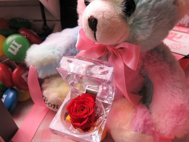 ビーンベアー 花 フラワーギフト