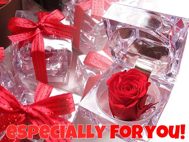 ビーンベアー 花 フラワーギフト