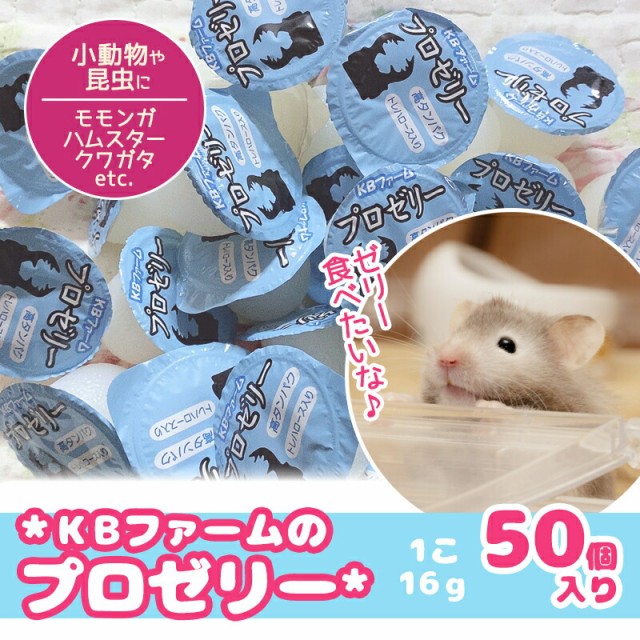 KBファーム プロゼリー 16g 50個 バナナ味 昆虫ゼリー 小動物の通販は