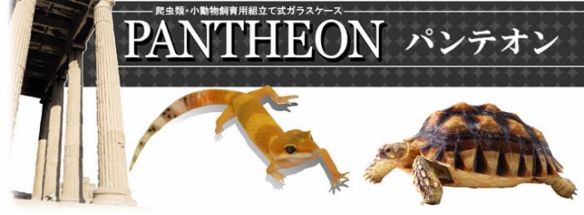 2022春夏 三晃商会 ガラスケース 爬虫類の通販はau PAY マーケット - milky rose|商品ロットナンバー:510726240 SANKO パンテオン ブラック BK9045 組立式 人気新作