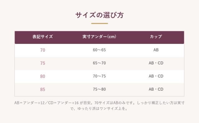 サイズ展開