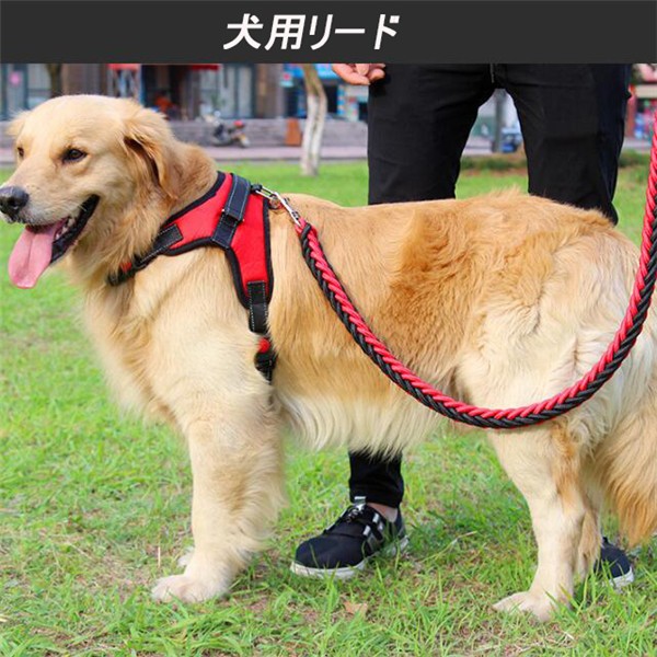 送料無料 リード 犬用 リード ワンちゃん 中型犬 大型犬 持ちやすい