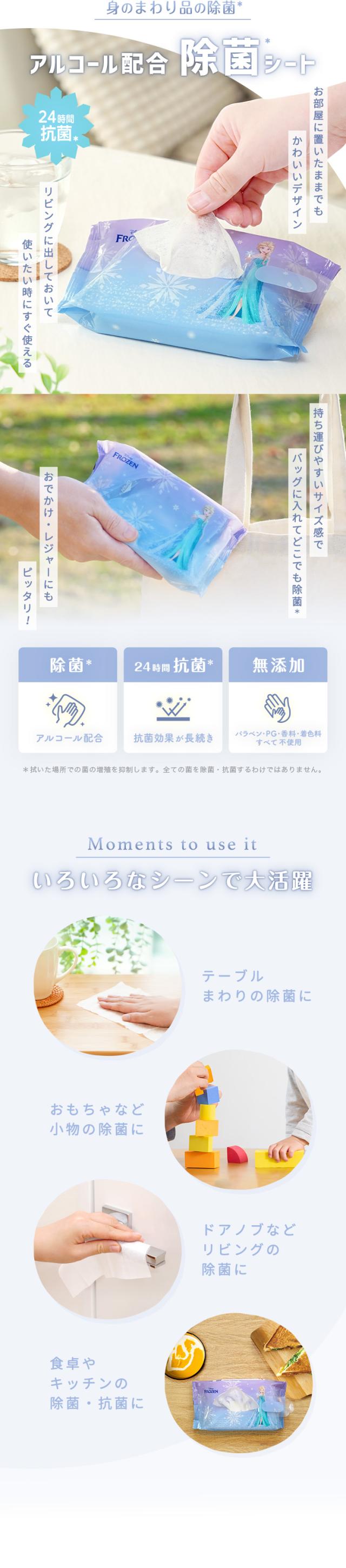 ディズニーアナと雪の女王ウエットシート