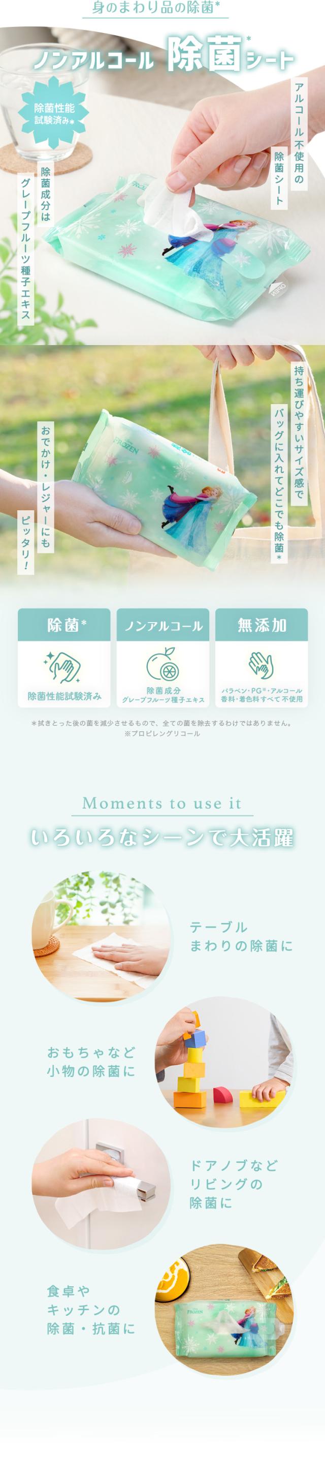 ディズニーアナと雪の女王ウエットシート