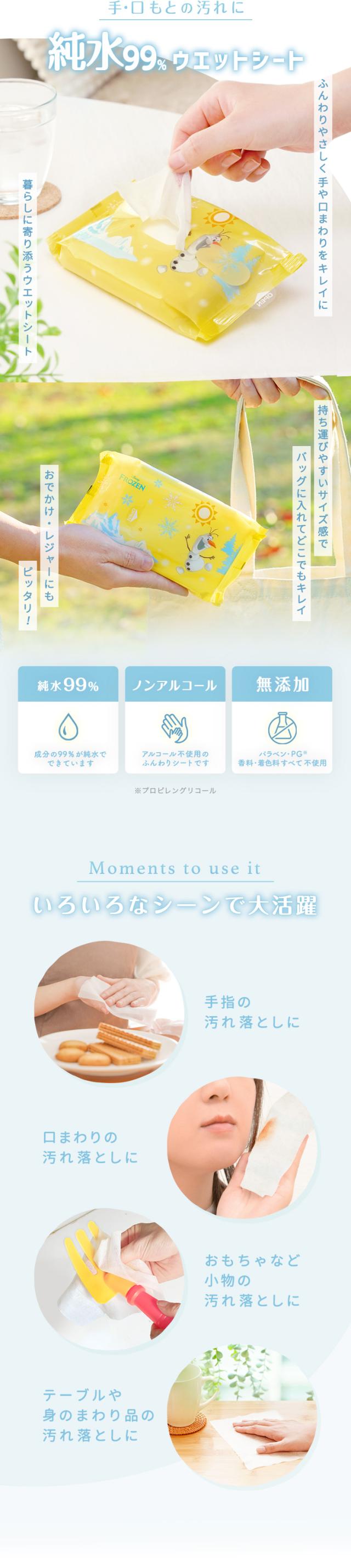 ディズニーアナと雪の女王ウエットシート