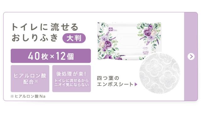 トイレに流せるおしりふき大判