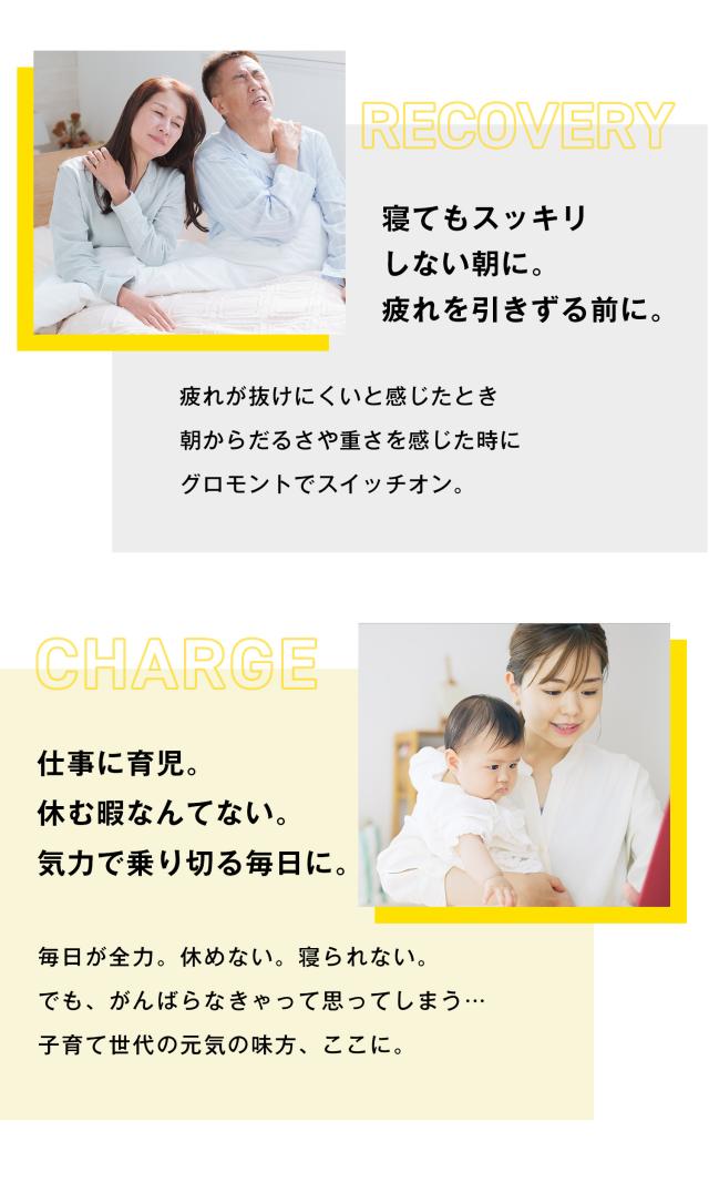 グロモントPREMIUM 100mL 10瓶×5パック