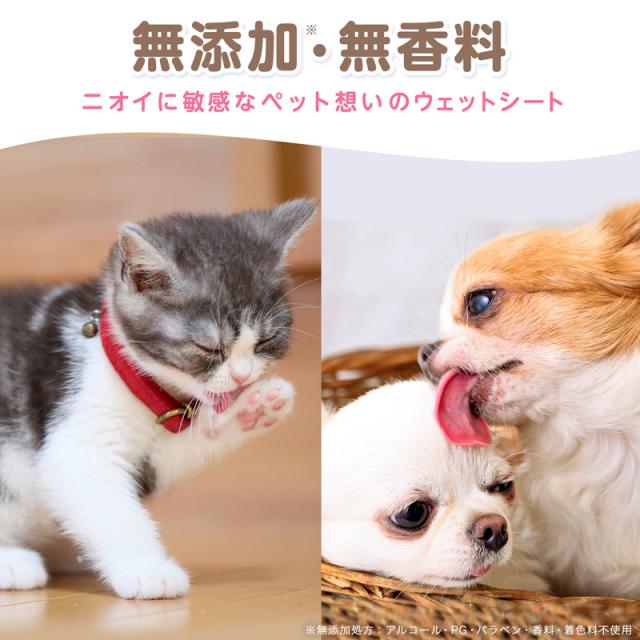 ペット用 ウェットティッシュ ウエットシート からだふき