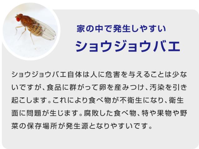 ラクラクバルサン 予防効果プラス 霧タイプ