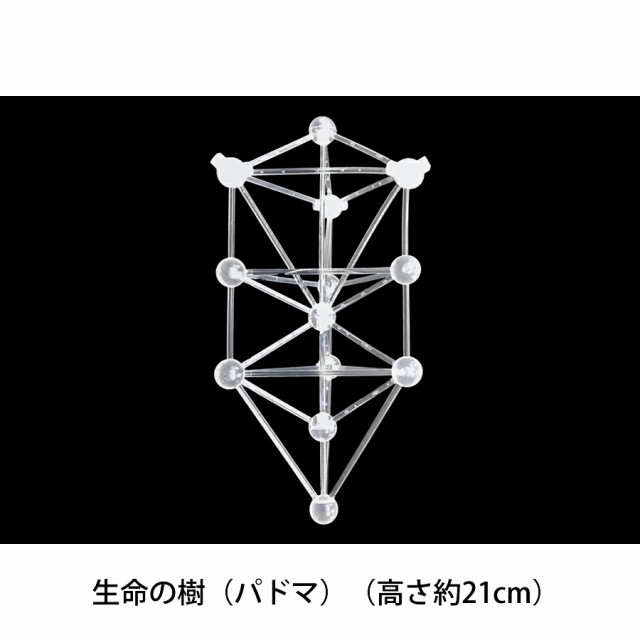 模型　バッキーボール（組立式） いたかっ ３Ｄカバラ　パドマ