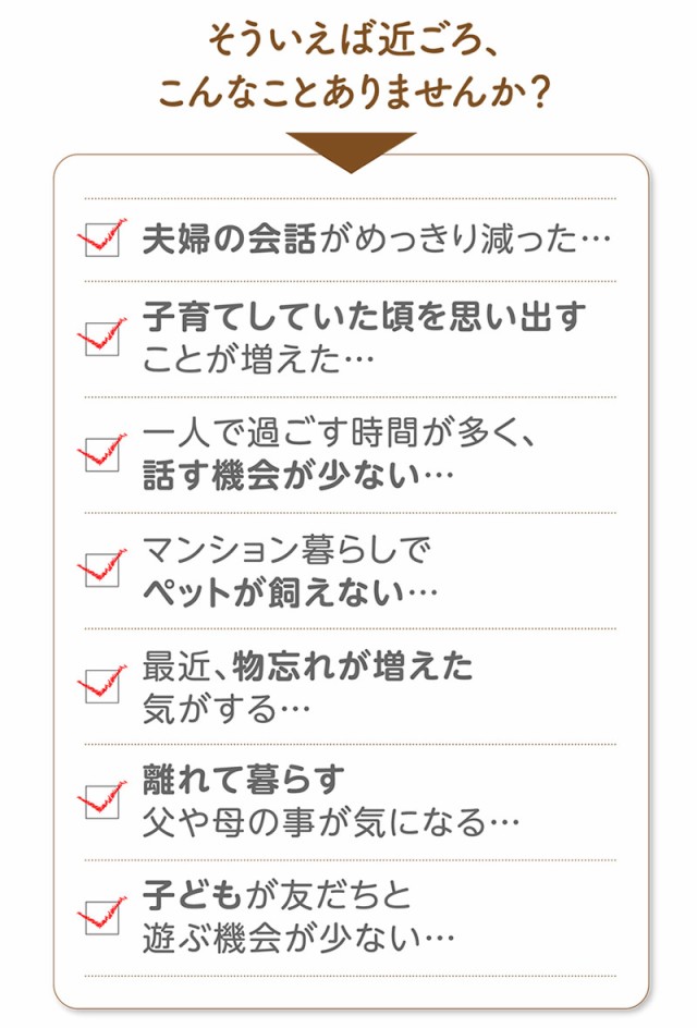 音声認識人形 おしゃべりけんちゃん (送料無料) しゃべる ぬいぐるみ