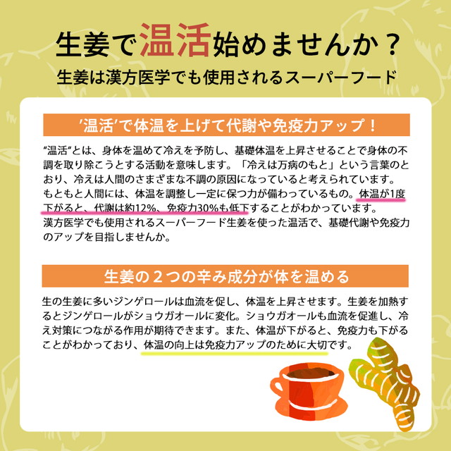 ジンジャーパウダー