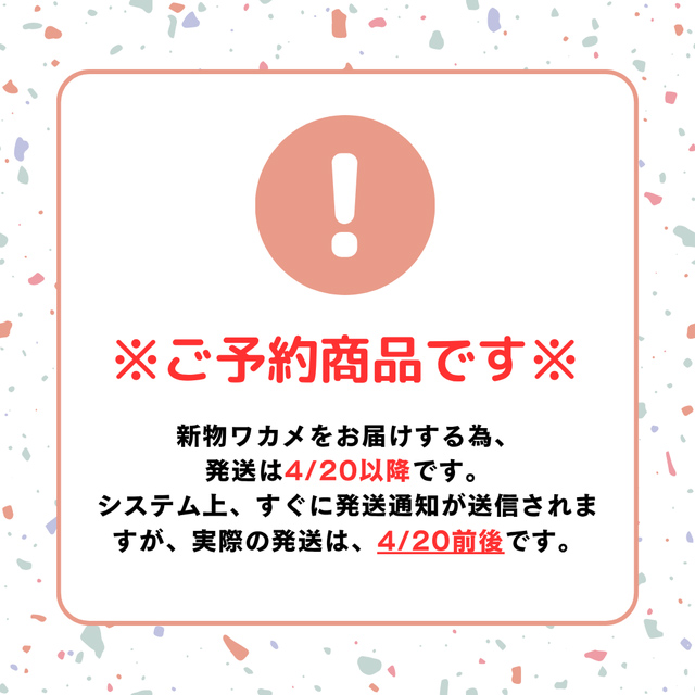 無添加無着色、国産乾燥わかめ、厳流庵の国産乾燥わかめ、国産カットわかめ