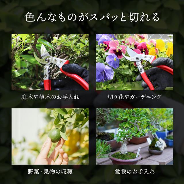 B型剪定鋏 極斬 キワミザン Craftool クラフツール 剪定バサミ 園芸バサミ 枝切りバサミ 花切りバサミ 切れ味長持ち サビにくい