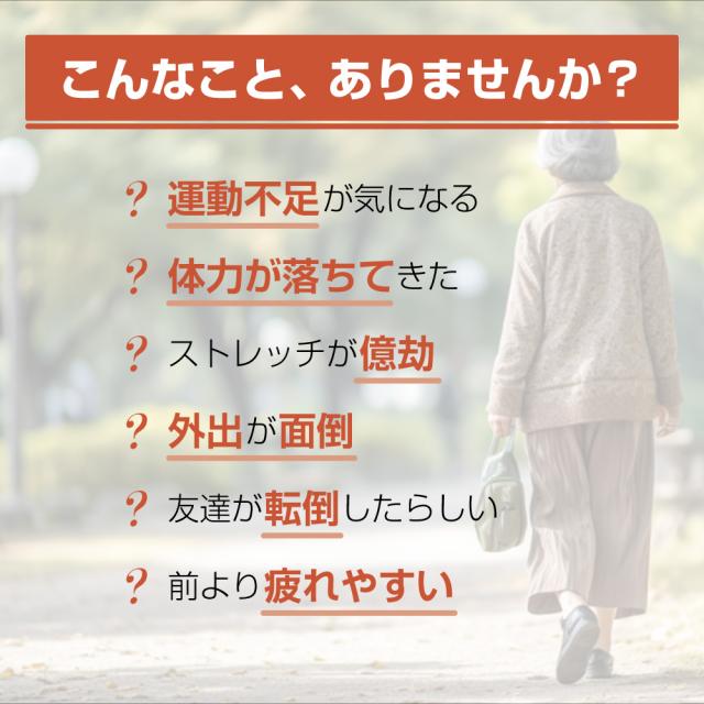 フィットネスバイク エアロバイク 高齢 電動 自動