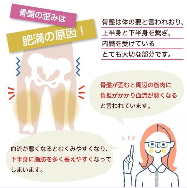 骨盤ベルト 産後産前 骨盤矯正ベルト ショーツ ガードル 