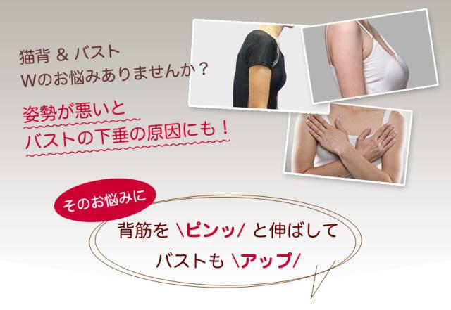 レディース くびれメイク ぽっこりお腹 補正下着 ブライダル 結婚式