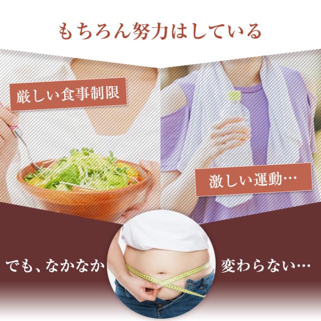 コルセット ウエストニッパー スリム レディース ガードル ショートガードル 補正下着 ブライダル 結婚式